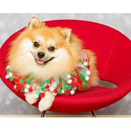 Springbok's Jingle Bells 500 Piece Jigsaw Puzzle is a Dog Lovers Dream Featuring a Festive Pomeranian Pup in Her Holiday Best