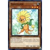Dandylion - SGX4-ENA05 - Common - 1st Edition