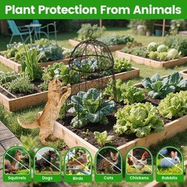 12Pcs garden cloche for plants,11.8×19.7in large size plant cages for outdoor plants,split design and anti-rust coated chicken wire cloche,sturdy and not easy to deform,plant cages to keep animals out