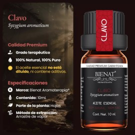 Bienat Aromaterapia Aceite Esencial De Clavo 100% Natural 100% Puro