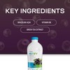 Synergy WorldWide Mistify | Liquid Supplement with Acai, Green Tea,