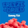 Freeze Dried Swedish Fish-Style Candy, Crazy Candy Red Fishies -
