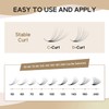 Premade Fans Eyelash Extensions 600 Fans 12D Handmade Volume Lashes