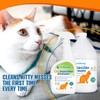 Cat Stain and Odor Remover | Enzyme Urine Odor Neutralizer