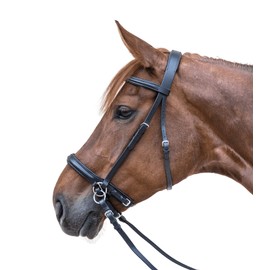 WALDHAUSEN Star Bridle Bitless