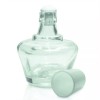 Karter Scientific 150ml Alcohol Lamp, Low Temperature, Boro, Plastic Cap, Karter Scientific 232K4