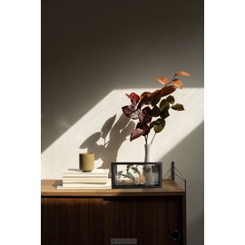 WANLIAN Shadow Box Frame,Wooden Double-Sided High-Definition Plexiglass Storage Box, DIY Display Box, Suitable for Dried Flowers, Specimens, Handicrafts, Baby Souvenirs and Photos (Black)