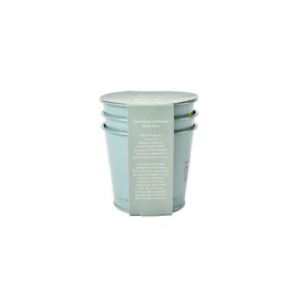 Burgon & Ball RHS Gift Herb Pots Asteraceae