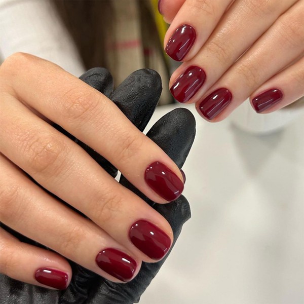 NICENEEDED 24PCS Cherry Red Fake Nails, Short Press on Nails