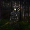Solar Powered Owl Hunting Decoy Bird Scarer Deterrent Pest Control