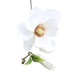 White Artificial Magnolia Fake Silk Flower Single Floral Home Decor Living Room Bedroom Garden Party Wedding Decoration in Pots Vase for Desk Table, Artificial Flowers, Home Décor Products