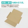 Earth Cardboard ID0082 Cardboard, Compatible with Kuroneko DM Services, Set