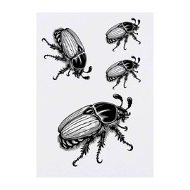 4 x 'Cockchafer Beetle' Temporary Tattoos - Water Resistant, Skin-Safe, Non-Toxic Transfers, Mixed Sizes (TO00085184)