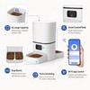 6L Wi-Fi Automatic Pet Feeder for Two Pets – App-Controlled