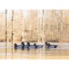 Higdon Outdoors Battleship Ringneck-All Drakes Duck Decoys, Foam-Filled