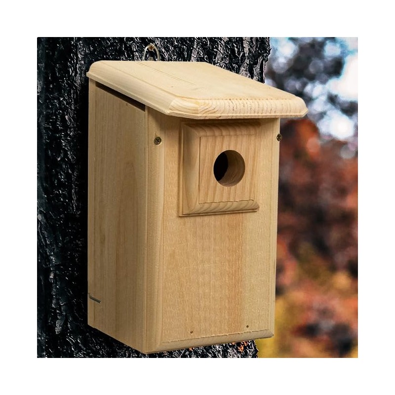 Coveside Western Bluebird House with Observation Window