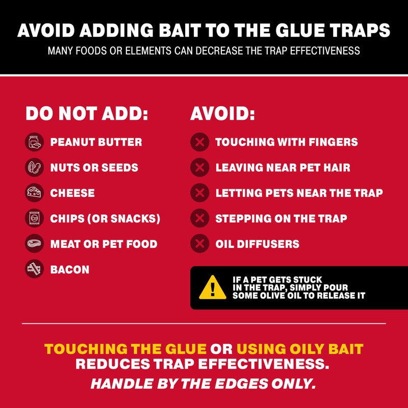 Catchmaster Max-Catch Mouse & Insect Glue Trap 72pk, Mouse Traps