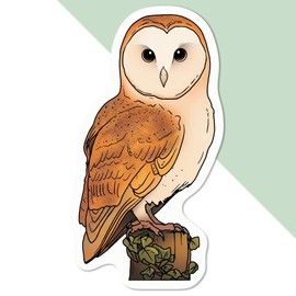 Medium 100mm 'Perched Barn Owl' Permanent Sticker Decal for Cars/Windows/Bins/Walls etc (DW00119713)