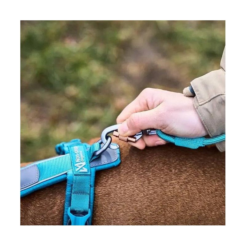 Non-Stop Dogwear Trekking Rope Leash- 2m/8mm - Teal