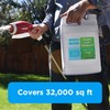 Superior 15-0-15 Liquid Lawn Fertilizer - Lawn Food for Growth