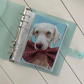 4x6 Photo Booth Photo Album - 6 Ring Glitter Notebook Sparkle Binder With 10 4 by 6 Photo Sleeves - Fits 20 Pictures (4X6, SEAFOAM)