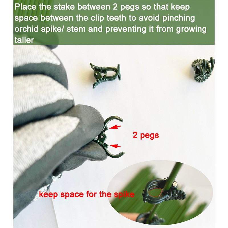 EESC2Y 40-PCs Orchid Clips for Plants Support - Dark Green,