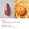 Dna Gel Color Gel N37 2.5g Apricot Bloom