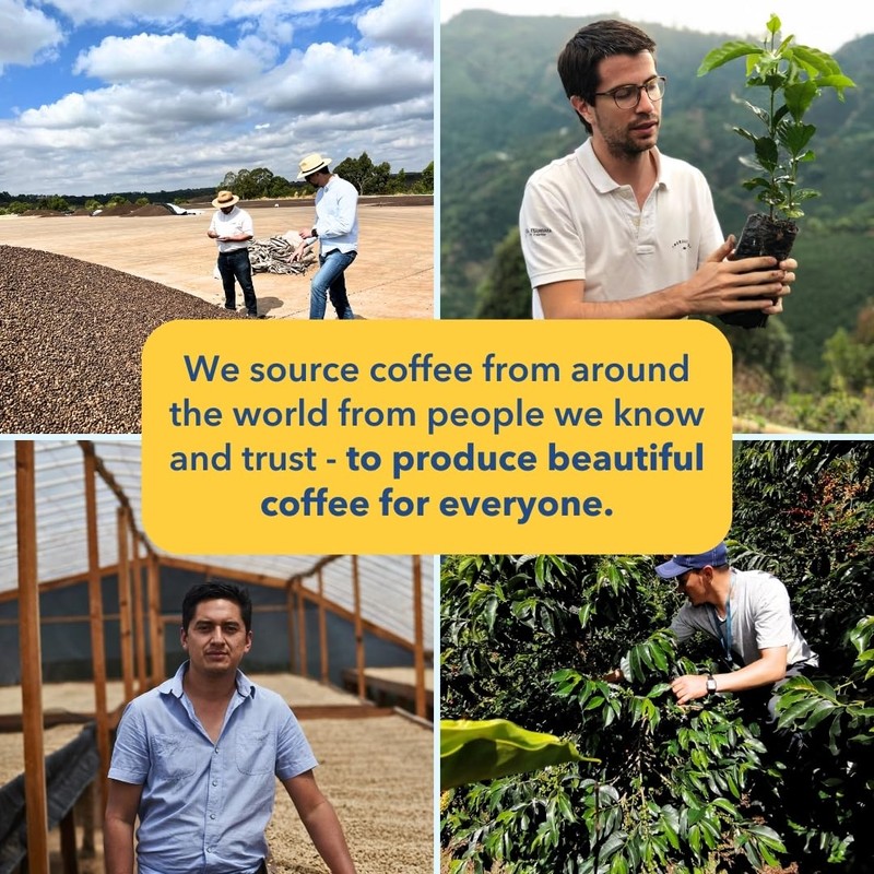 PARTNERS COFFEE ROASTERS - Whole Bean Coffee (Brooklyn - Medium