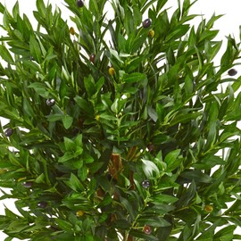 Nearly Natural 58in. Olive Topiary Artificial Tree UV Resistant (Indoor/Outdoor)