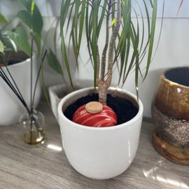 Olla Gourmand Cherry Pebble - Natural Terracotta Watering Accessories - 15cl - Autonomous Watering 2 to 5 Days - Water Saving - Potted Plants - Handmade in France