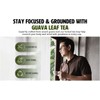Guava Tea Bags, Dried Tender Leaves Tea, 30 Count, Pleasant