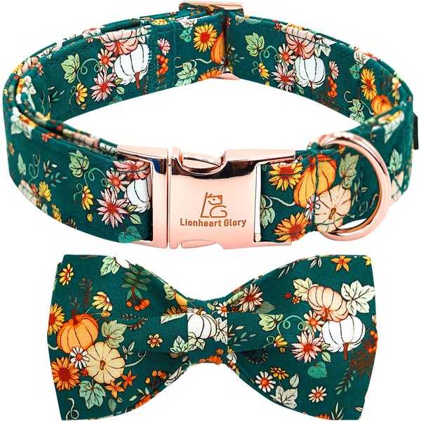 Lionheart glory Fall Dog Collar with Bow Halloween Pumpkin Floral
