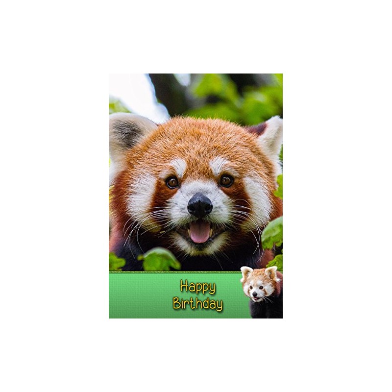 Red Panda Birthday Card