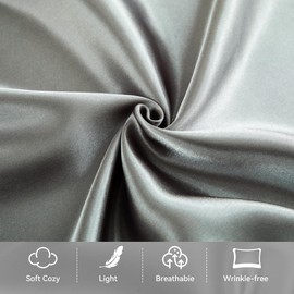【2 Pack】 Mulberry Satin Silk Pillowcase, H HOME-MART 20"x 30" Satin Silk Pillowcases for Hair and Skin, Queen Size Pillow Case with Envelope Closure (Silver)