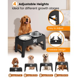 Elevated Dog Bowls, Raised Bowl Stand with No Spill Slow Water Feeder & Stainless Steel Food Dish, Adjustable Feeding Station for Small Medium Large Dogs