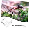 SUPVOX 2Pcs Ant Water Feeder for Reptiles and Small Pets