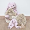 Histoire d 'Ours Plush Friends Cuddly Toy Rabbit Rabbit 25