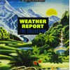 Weather Report: The Collection