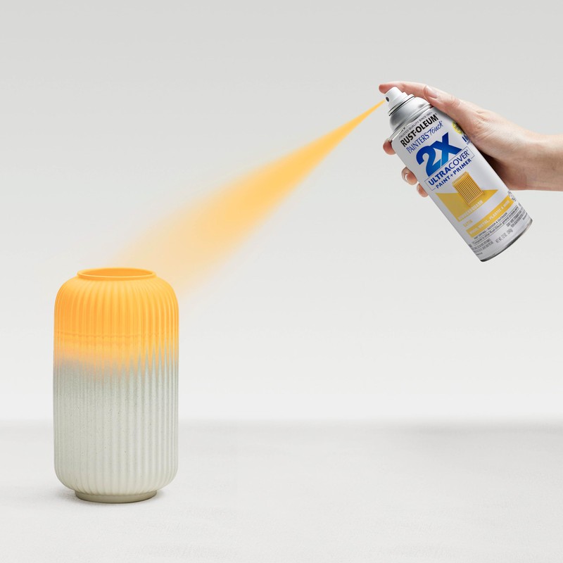 Rust-Oleum 249064-6PK Painter's Touch 2X Ultra Cover Spray Paint, 12