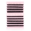 Oreola Cluster Eyelashes, 80D, 100D, Individual Eyelashes, D Curl, False
