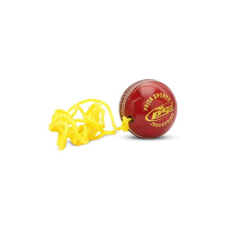 PSE Leather Practice Hanging Cricket Ball, Size Standard, (Red)