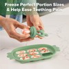 Haakaa Baby Fruit Food Feeder & Silicone Freezer Nibble Tray