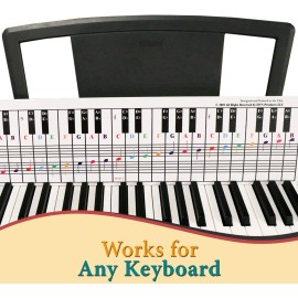 QMG Piano and Keyboard Note Chart, Ideal Visual Tool for Beginners, Use Behind keys