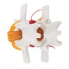 TOBEOME 1:1.5 Human Demonstration Model for Herniated Disc of the