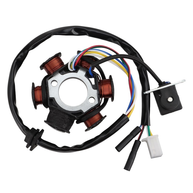 GOOFIT 6 Coil Motorcycle Magneto Stator Engine Accessories Replacement for