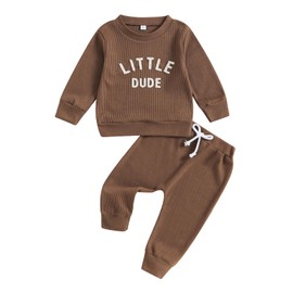 Toddler Baby Boy Clothes Long Sleeve Waffle Little Dude Crewneck Sweatshirt Casual Pants 2Pcs Fall Winter Outfit (Little Dude-Brown,2-3T)
