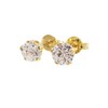 Aretes Cristal Zirconia de 5mm - Chapa de Oro Calidad