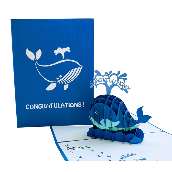 iGifts And Cards Unique Congratulations Whale 3D Pop Up Card - Celebration, Success, Congrats, Birthday, Promotion, Graduation, Housewarming, Engagement, Anniversary, New Job