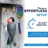 Bird Barrier The Intimidator - Professional Grade Bird Deterrent w/Wind-Twisting