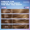 Clairol Nice 'n Easy Frost & Tip Original